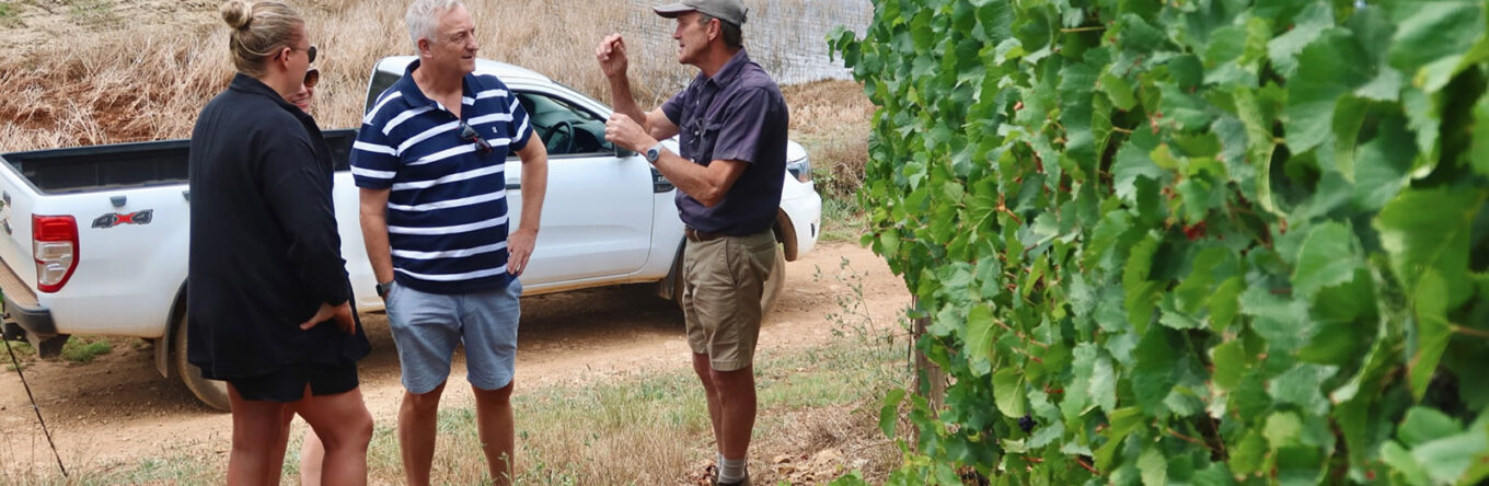 Cape Town Pinot Noir