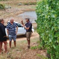 People in a vineyard discussing wine