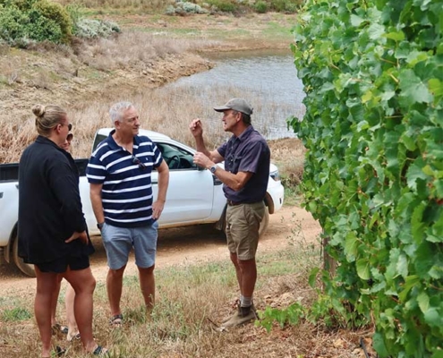 People in vineyard discussing wine