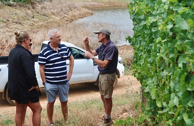 People in vineyard discussing wine